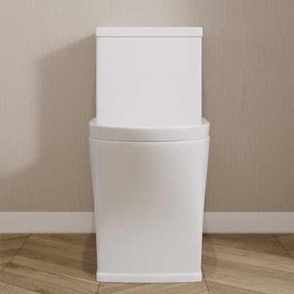 One-Piece Elongated Toilet, Dual-Flush Glazed Surface with Multiple Types