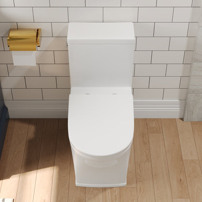 One-Piece Elongated Toilet, Dual-Flush Glazed Surface with Multiple Types
