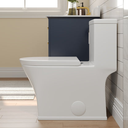 One-Piece Elongated Toilet, Dual-Flush Glazed Surface with Multiple Types