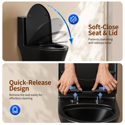 DeerValley DV-1F0250 One-Piece Toilet Soft-Close Seat Skirted Design Dual Flush