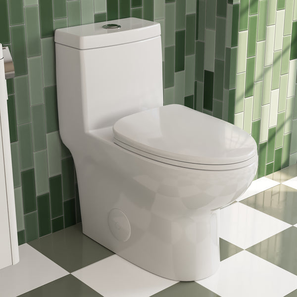 ALLY One-Piece Elongated Toilet, 10" Rough-in Standard-Size with Multiple Colors