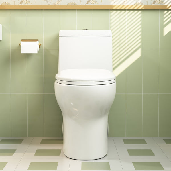 ALLY One-Piece Elongated Toilet, Dual Flush Standard-Size with Multiple Colors