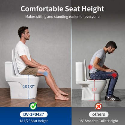 DeerValley DV-1F0437 One Piece Elongated Toilet – Dual Flush & Rimless, ADA Height, Seat Included