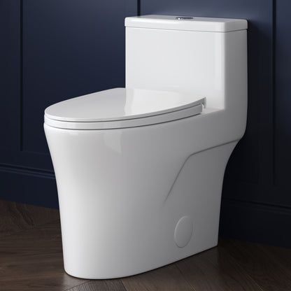 DeerValley DV-1F0437 One Piece Elongated Toilet – Dual Flush & Rimless, ADA Height, Seat Included