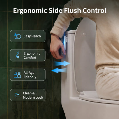 DeerValley DV-1F0470 One-Piece Toilet, Self-Cleaning Glaze & Dual Flush System