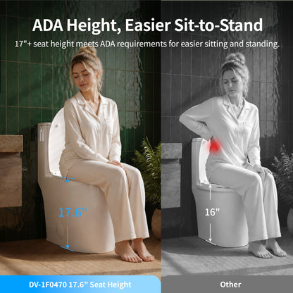 DeerValley DV-1F0470 One-Piece Toilet, Self-Cleaning Glaze & Dual Flush System