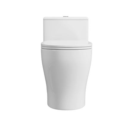 DeerValley DV-1F0572 One Piece Toilet, Clean Look & Siphon Jet Dual Flush