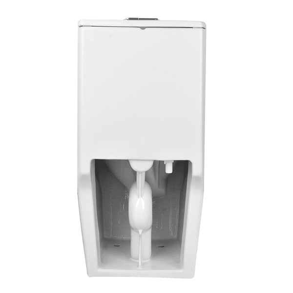 DV-1F52102 Ace Elongated One-Piece Toilet , 1.1/1.6 GPF Dual-Flush