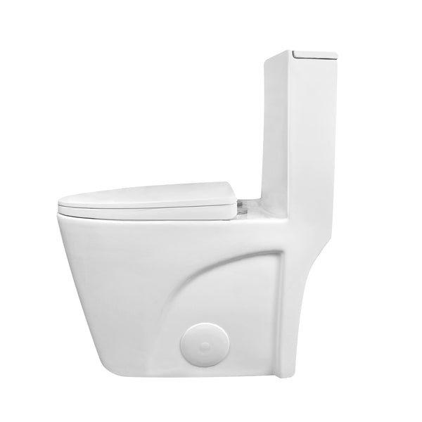 DV-1F52102 Ace Elongated One-Piece Toilet , 1.1/1.6 GPF Dual-Flush