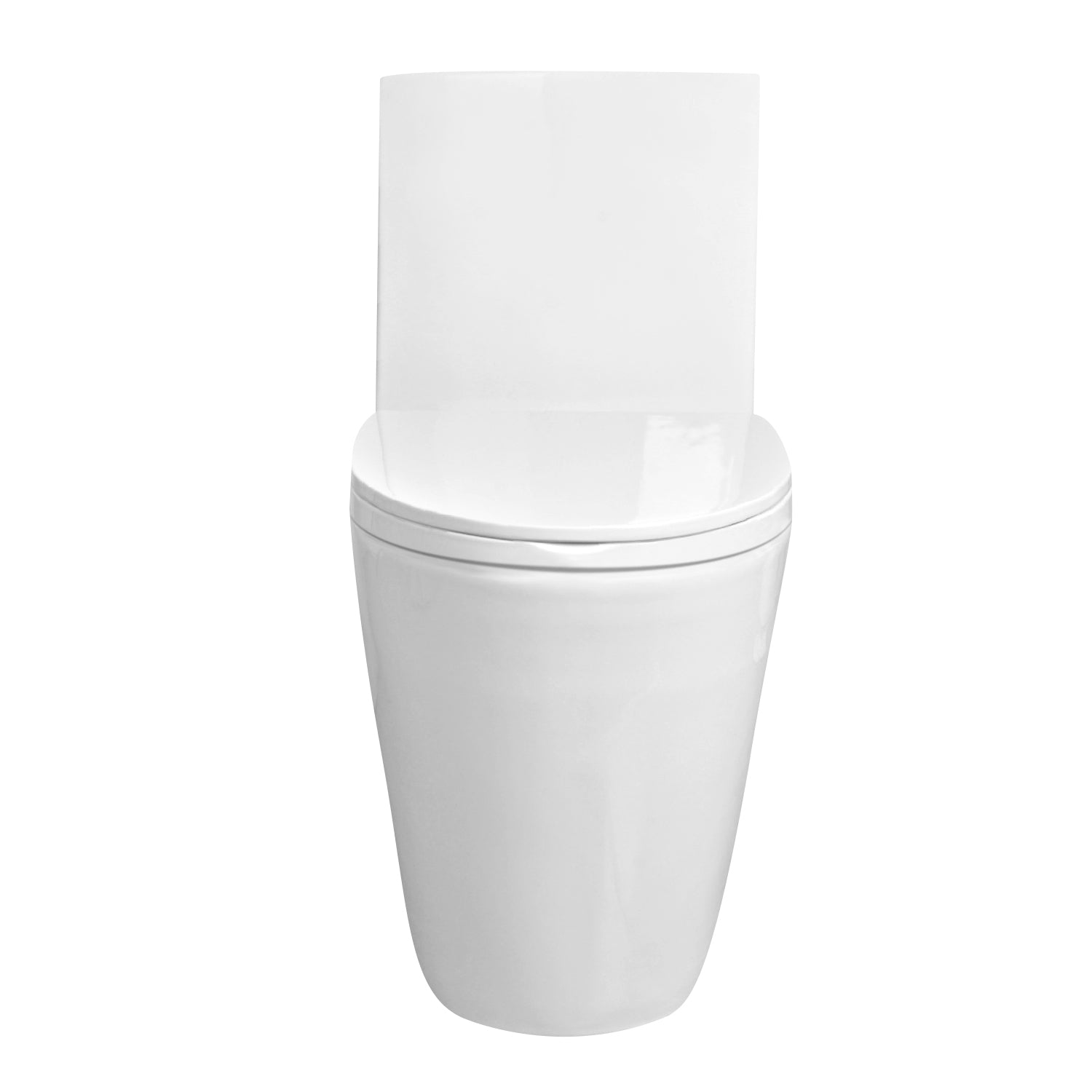 Aoibox 1-Piece 1.1/1.6 GPF Elongated Dual Flush Water saving Toilet in.  White, Seat Included SNMX410 - The Home Depot