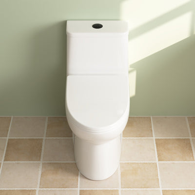 Deervalley DV-1F52677 One-Piece Elongated Toilet, Dual-Flush Full-Size with Multiple Colors