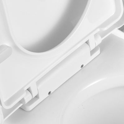 One-piece Toilets Product Details