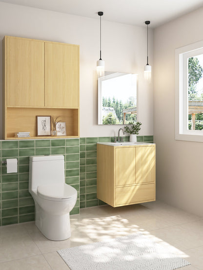 ALLY One-Piece Elongated Toilet, 1.1/1.6GPF Dual-Flush  with Multiple Colors