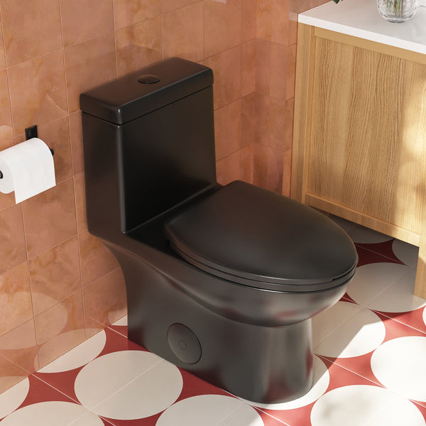 DV-1F52816 Ally Elongated One-Piece Toilet with Multi Colors, 1.1/1.6GPF Dual-Flush