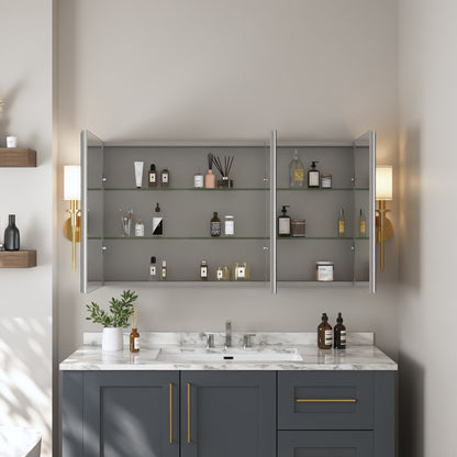 Rectangular Bathroom Medicine Cabinet, Frameless With Mirror With Multiple Types