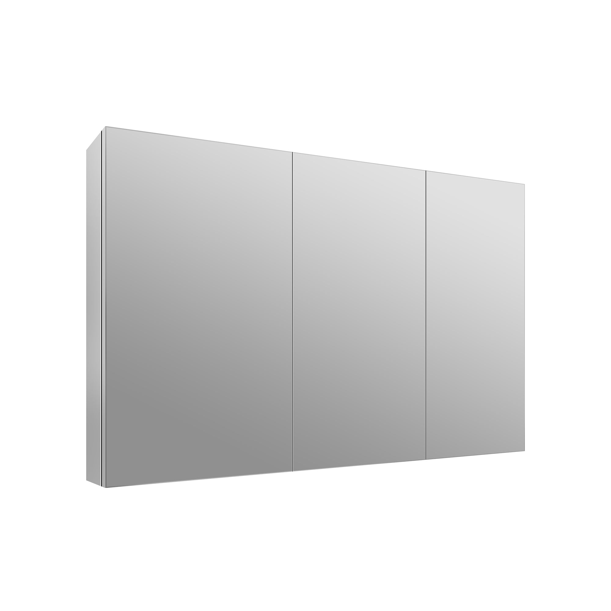 Rectangular Bathroom Medicine Cabinet, Frameless With Mirror With Multiple Types
