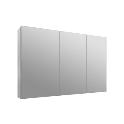 Rectangular Bathroom Medicine Cabinet, Frameless With Mirror With Multiple Types