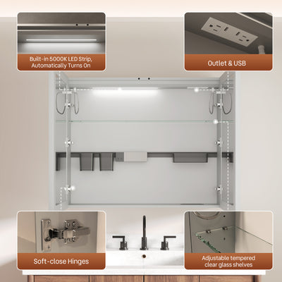 DeerValley DV-1MC0391 Smart LED Mirror Cabinet with Tri-Color Lighting, Stepless Dimming, and Defogger