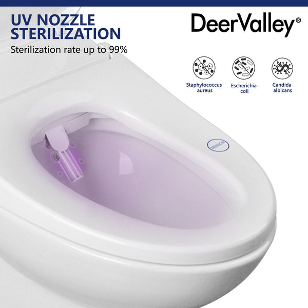 DeerValley DV-1S0018 Elongated Bidet Toilet Seat with Wireless Remote