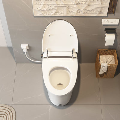 Smart Toilet High Tech Toilet