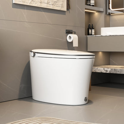 DeerValley DV-1S0019/V1/V3 Tankless Elongated Smart Toilet Quiet-Closed Heated Seat Sensor Auto, Foot Kick & Blackout Flush, Night Light