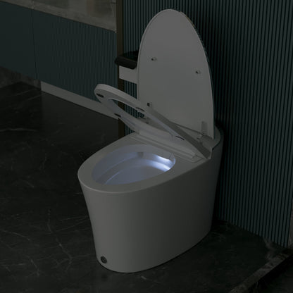 DeerValley DV-1S0019/V1/V3 Tankless Elongated Smart Toilet Quiet-Closed Heated Seat Sensor Auto, Foot Kick & Blackout Flush, Night Light