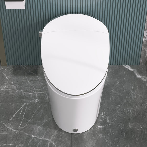 DeerValley DV-1S0019 Smart Bidet Toilet Quiet-Closed Heated Seat Sensor Auto, Foot Kick & Blackout Flush, Warm Wash, Night Light