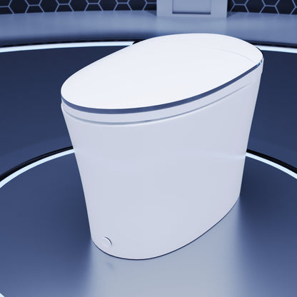 DeerValley DV-1S0019/V1/V3 Tankless Elongated Smart Toilet Quiet-Closed Heated Seat Sensor Auto, Foot Kick & Blackout Flush, Night Light