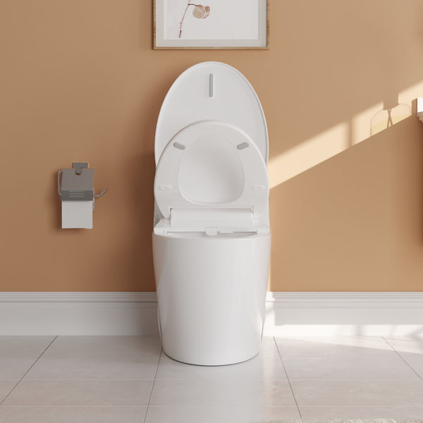 DeerValley DV-1S0028 Elongated Manual Bidet Toilet Seat with Self Cleaning Dual Nozzles, Rear & Feminine Cleaning, Non-Electric Bidets for Existing Toilets, White, No Wiring & Easy Installation