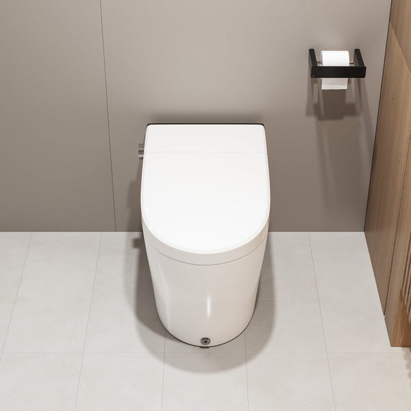 DeerValley DV-1S0029 Smart Bidet Toilet, One-Piece Elongated Smart Toilet with Foot Kick Flush, Warm Wash (Seat Included)