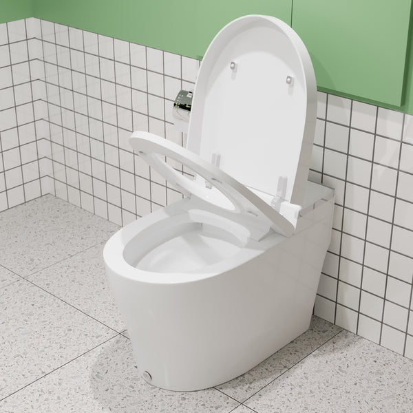DeerValley DV-1S0029 Smart Bidet Toilet, One-Piece Elongated Smart Toilet with Foot Kick Flush, Warm Wash (Seat Included)