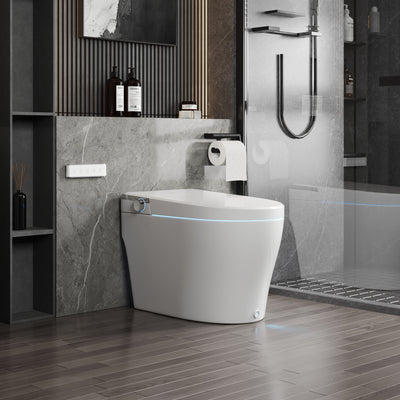 Smart Toilet High Tech Toilet