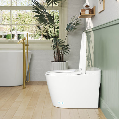 DeerValley DV-1S0159/0159-V1/0159-V3 Tankless Smart Toilet,Auto Flush, Heated Seat, Tankless One-Piece Toilets for Bathrooms