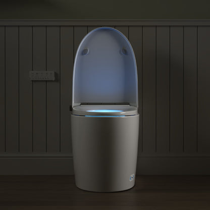 DeerValley DV-1S0159/0159-V1/0159-V3 Tankless Smart Toilet,Auto Flush, Heated Seat, Tankless One-Piece Toilets for Bathrooms