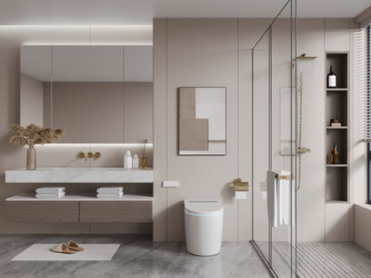 DeerValley DV-1S0159/0159-V1/0159-V3 Tankless Smart Toilet,Auto Flush, Heated Seat, Tankless One-Piece Toilets for Bathrooms