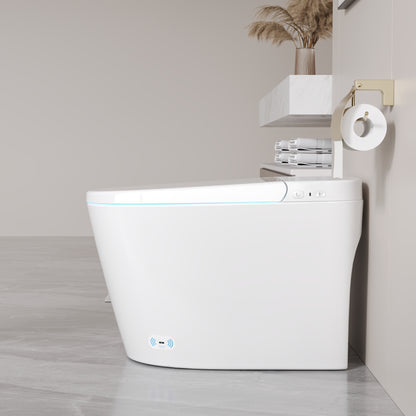 DeerValley DV-1S0159/0159-V1/0159-V3 Tankless Smart Toilet,Auto Flush, Heated Seat, Tankless One-Piece Toilets for Bathrooms