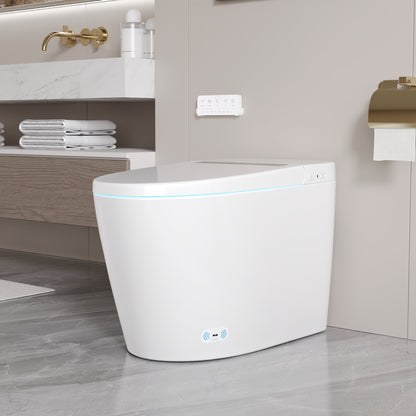 DeerValley DV-1S0159/0159-V1/0159-V3 Tankless Smart Toilet,Auto Flush, Heated Seat, Tankless One-Piece Toilets for Bathrooms