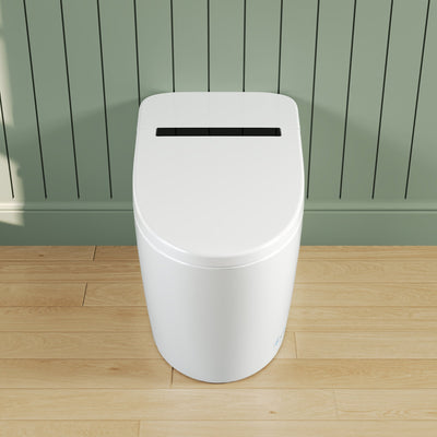 Smart Toilet High Tech Toilet