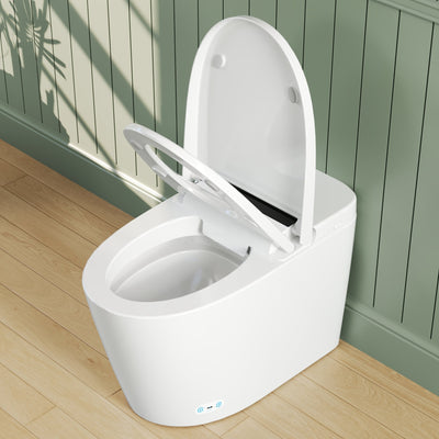 Smart Toilet High Tech Toilet