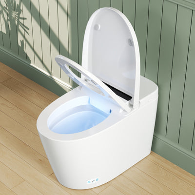 Smart Toilet High Tech Toilet