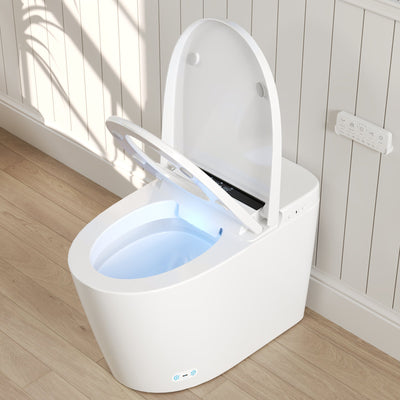Smart Toilet High Tech Toilet