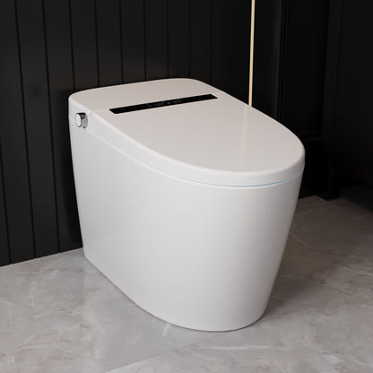 Smart Toilet High Tech Toilet