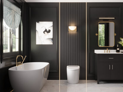 Smart Toilet High Tech Toilet