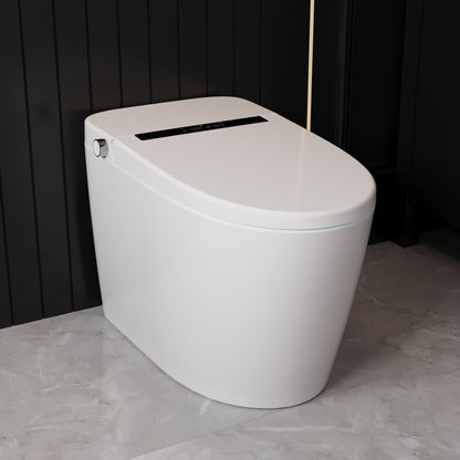 Smart Toilet High Tech Toilet