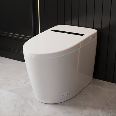 Smart Toilet High Tech Toilet