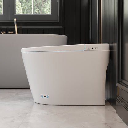 DeerValley DV-1S0159-V3 Premium Tankless Elongated Smart Bidet Toilet, Auto Flush, Heated Seat,Night-light, One-Piece