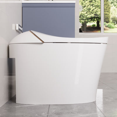 Smart Toilet High Tech Toilet