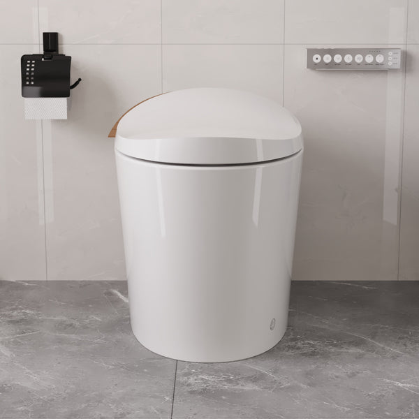 DeerValley DV-1S0160 Smart Bidet Toilet with Off-Seat Flush/Foot Sensor Flush, Automatic Tankless Toilet with Heated Seat, Warm Water Cleaning, Warm Air dryer