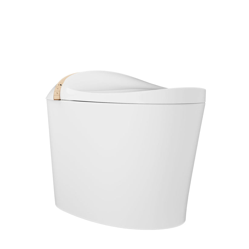 DeerValley Smart Bidet Toilet with Off-Seat Flush/Foot Sensor Flush, Automatic Tankless Toilet with Heated Seat, Warm Water Cleaning, Warm Air dryer,DV-1S0160-V3