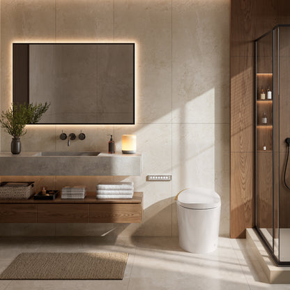 DeerValley DV-1S0160-V3 Smart Toilet with Balanced Comfort & Design, Upgraded Features